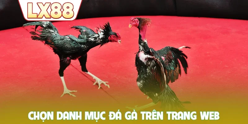 Chọn danh mục đá gà LX88 trên trang web